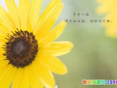 微商第一条开场白写作技巧 微商朋友圈怎么吸引人？
